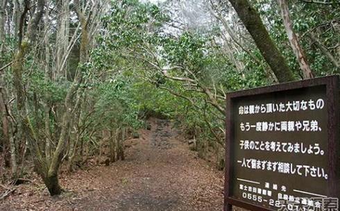 ȫ׃B(ti)10ط^ȥ