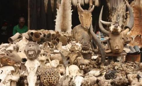 ȫ׃B(ti)10ط^ȥ